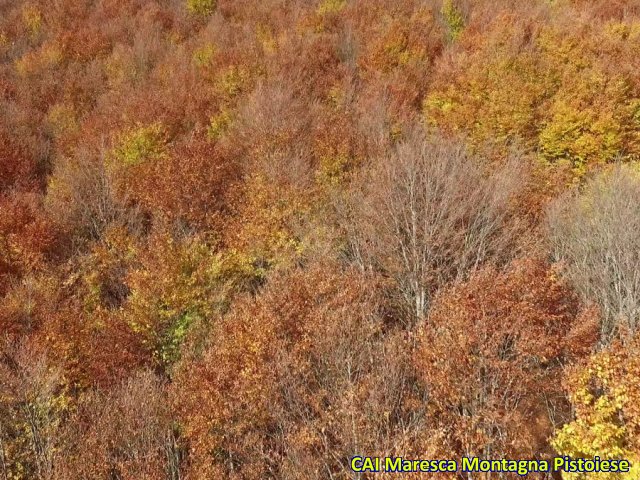 Montanaro Monte Gennaio autunno 2019